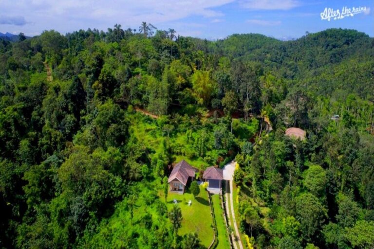 After the rains Wayanad