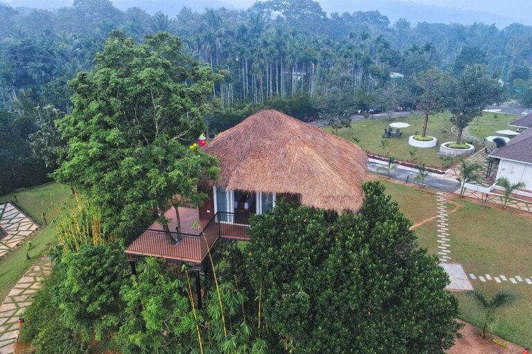 Jungle bay resort wayanad -Tree House