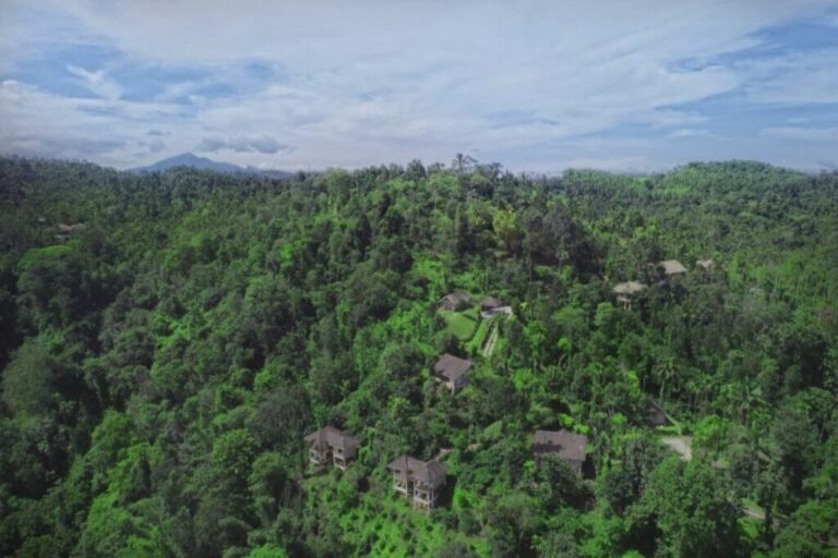 after the rains rainforest lodge Wayanad