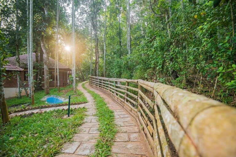 cottage in raindrops wayanad