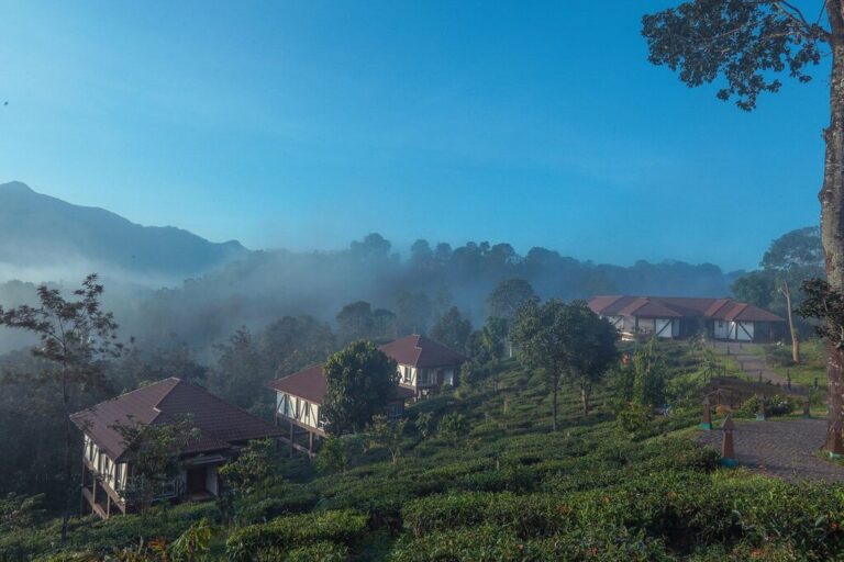 cottages at Jeevess ayurveda resort