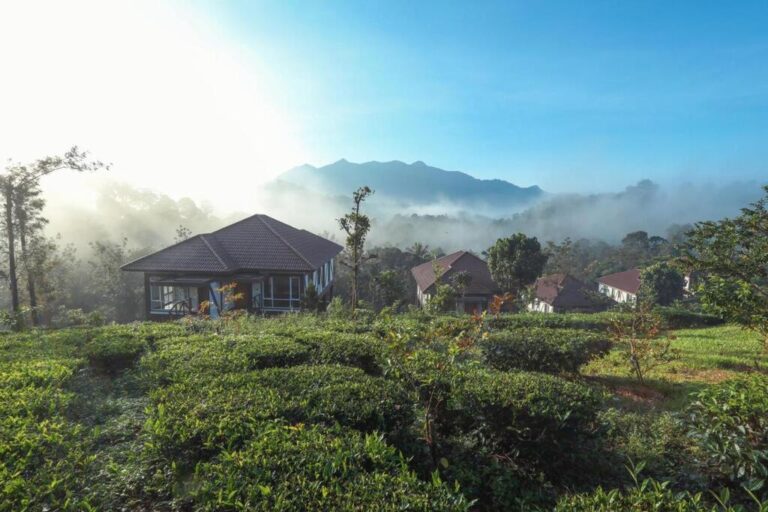 cottages at Jeevess ayurveda wayanad