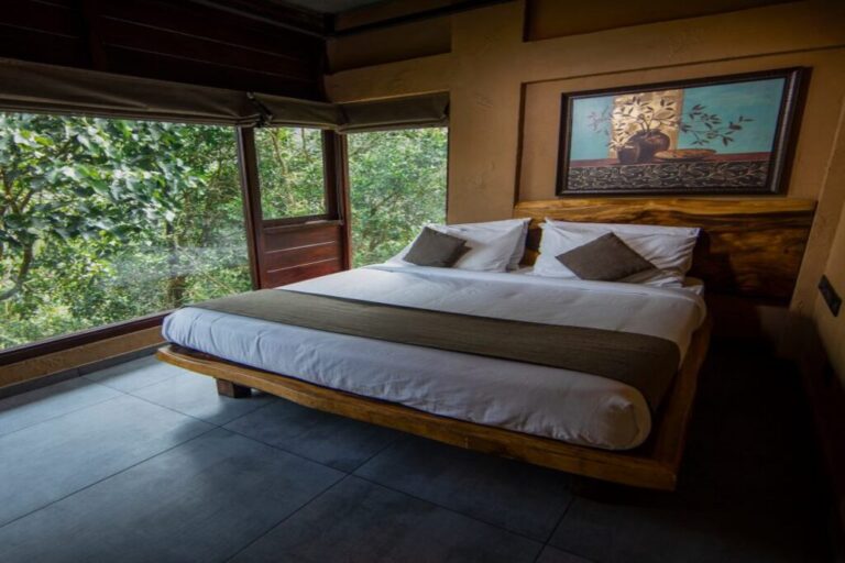 forest view room in silent creek Wayanad