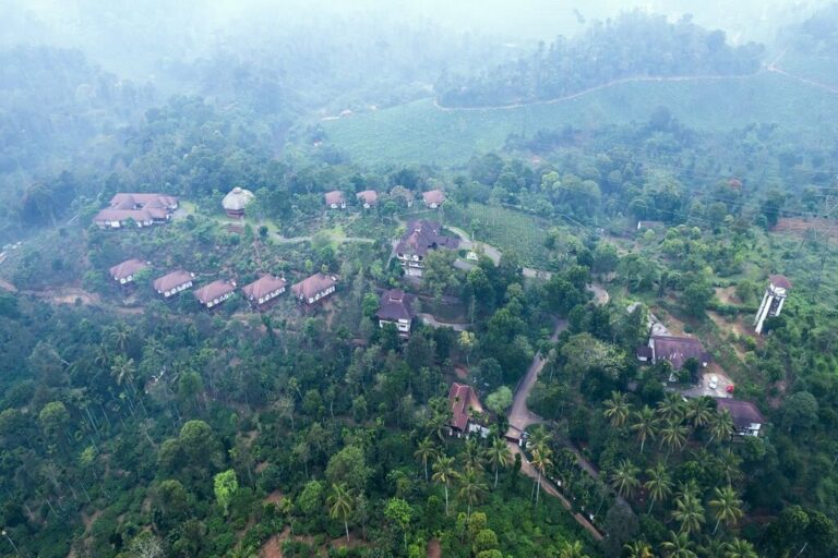 jeevess-ayurveda-bird -view