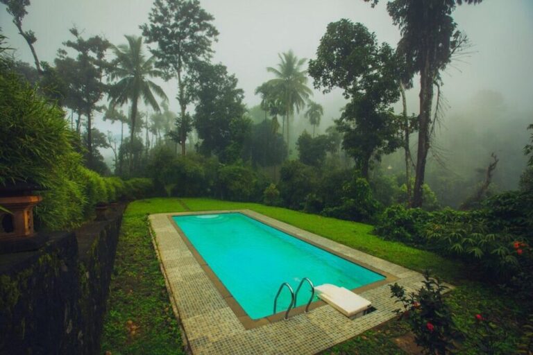 pool at After the rains resort wayanad