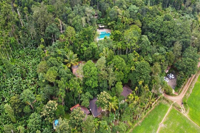 raindrops wayanad -resort in wayanad