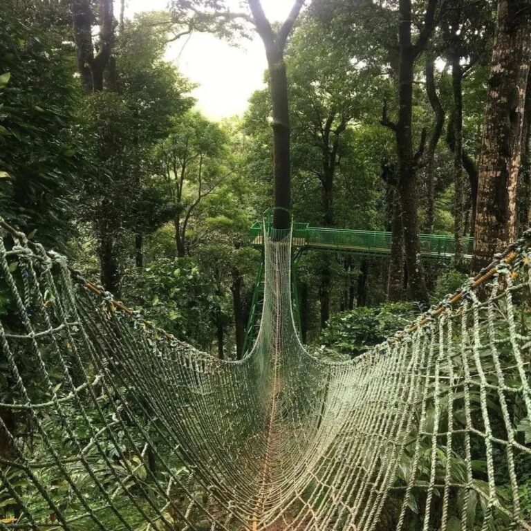 900 kandi eco park