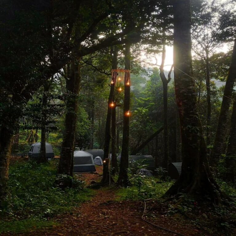 900 kandi wayanad resorts