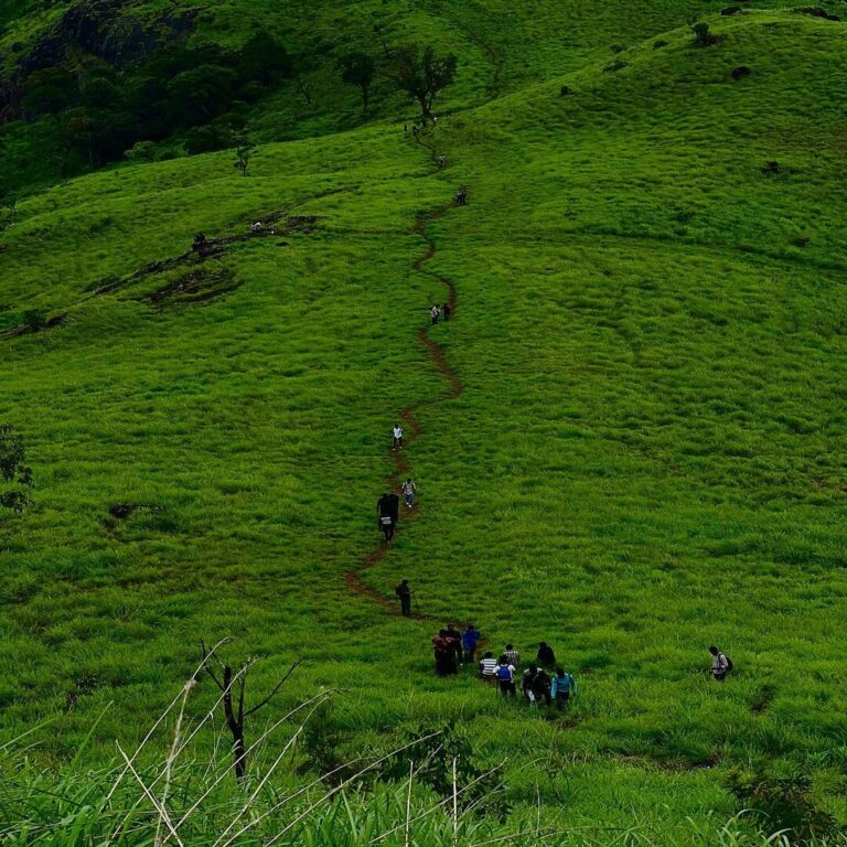 Banasura Hill Trekking