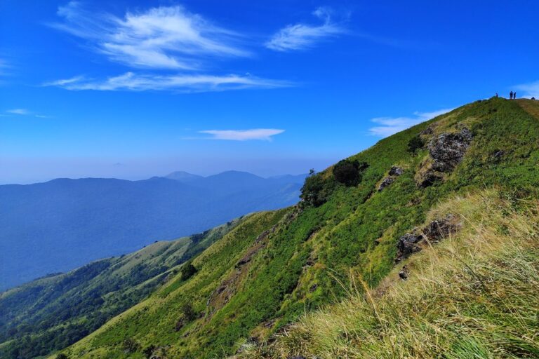 Brahmagiri Hills wayanad