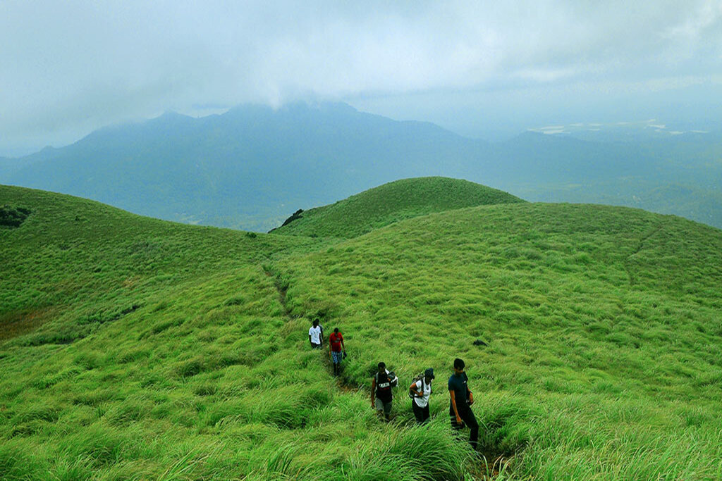 Chembra Peak trekking