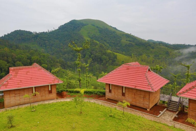 Hill top cottages in Wild Planet Jungle Resort