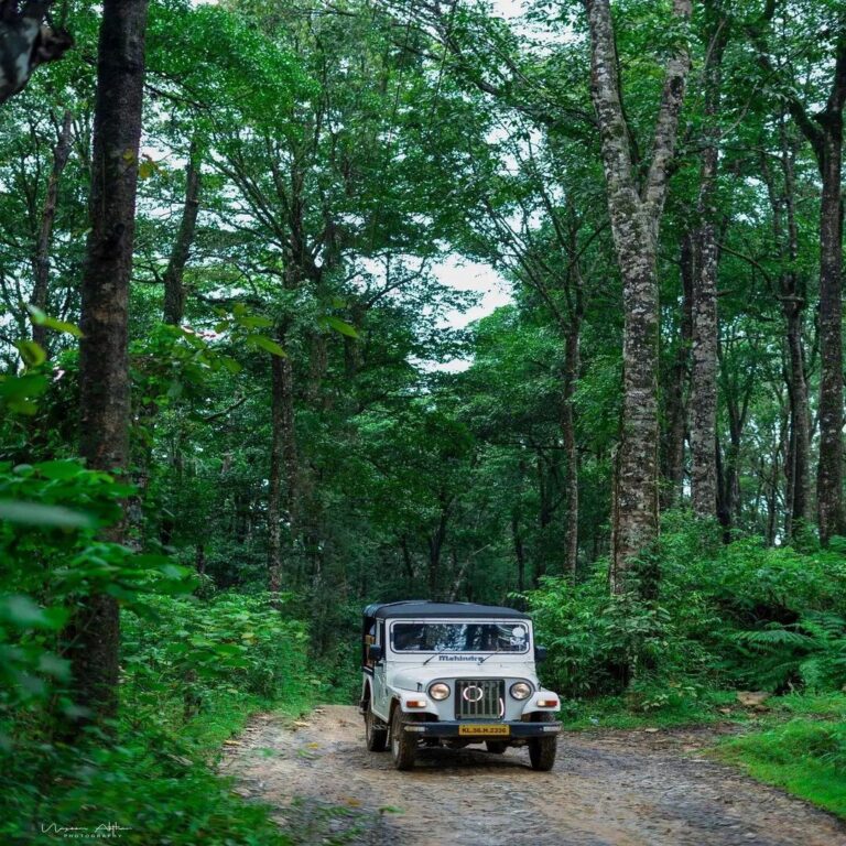 Jeep Safari to 900 Kandi