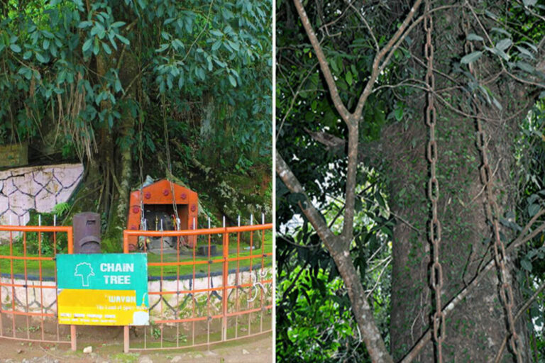 Karinthandan Temple