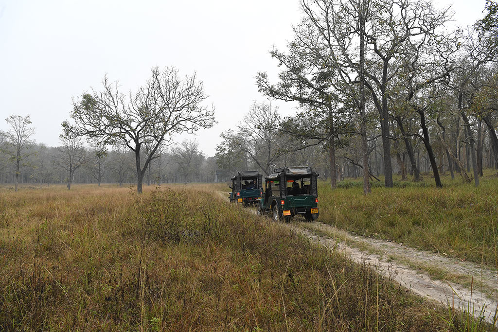 Muthanga Wildlife Sanctuary