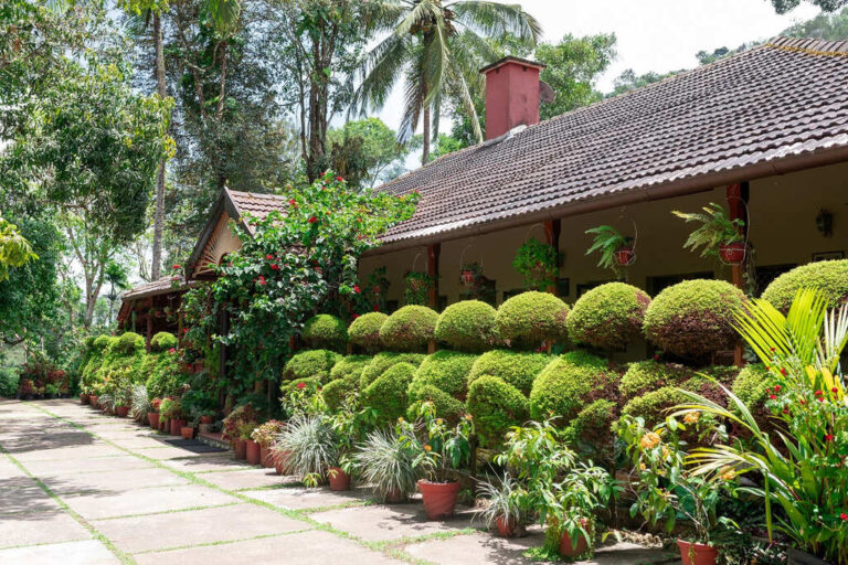 Planters Garden Room in tranquil resort