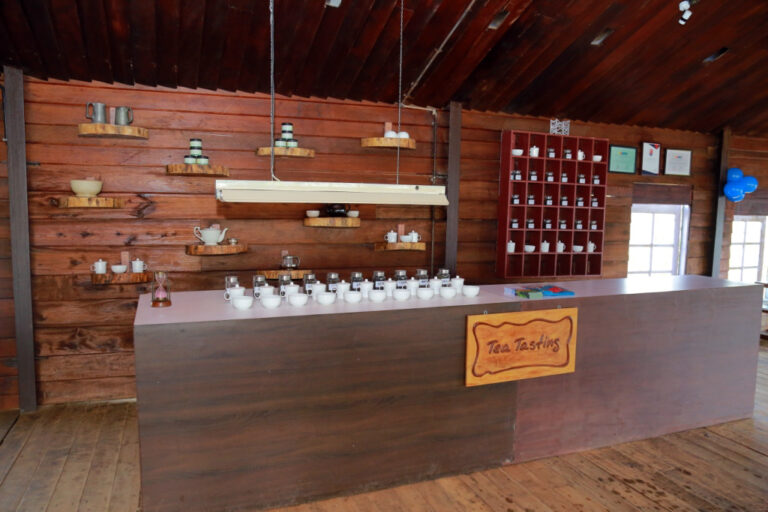 Tea-Tasting-Wayanad Tea Museum