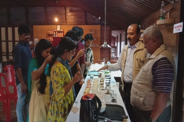 Tea Tasting in Wayanad Tea Museum