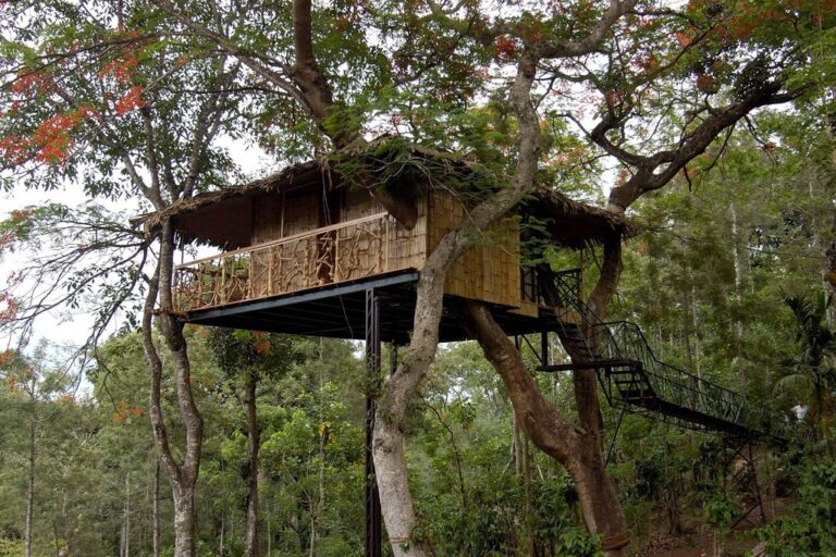 Tree House in tranquil resort Wayanad