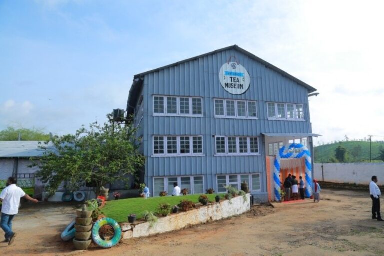 Wayanad Tea Museum