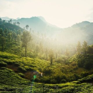 Wayanad trip from bangalore