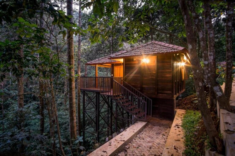 Wild Planet Resort - Jungle Log House