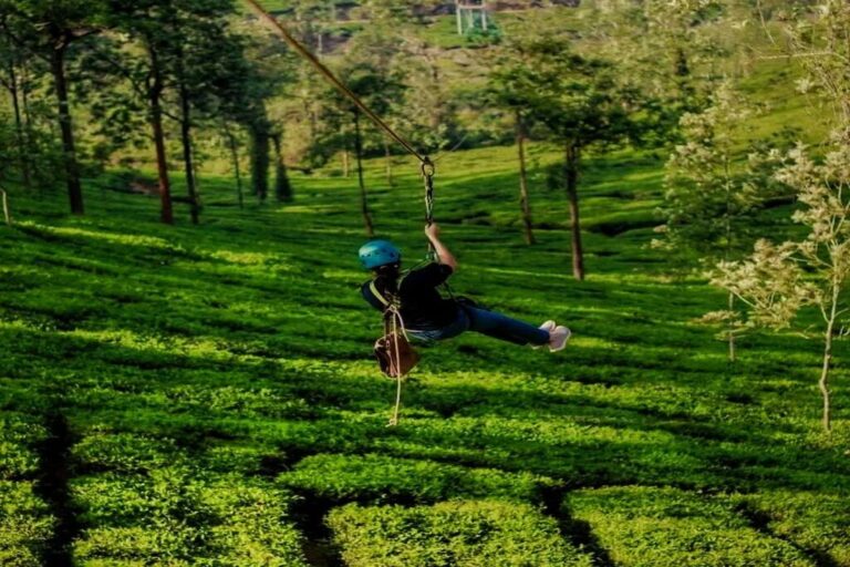 Zipline at Pozhuthana