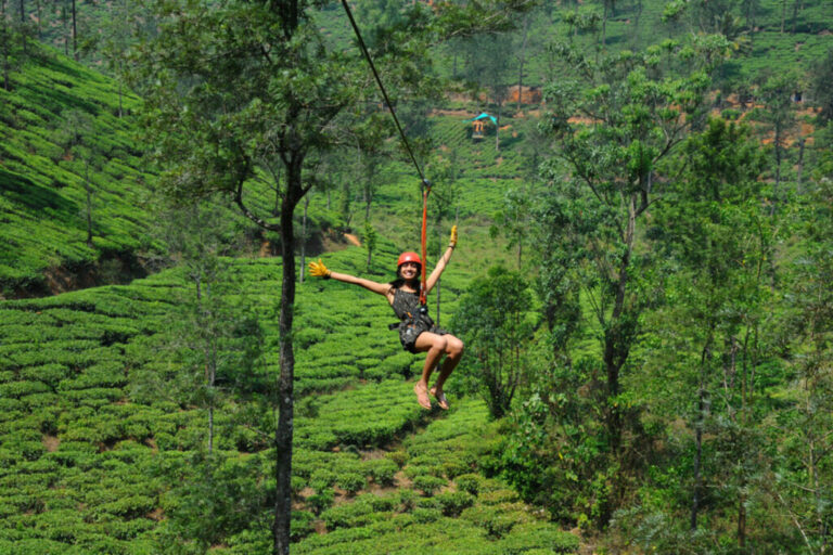 Zipline in Wayanad