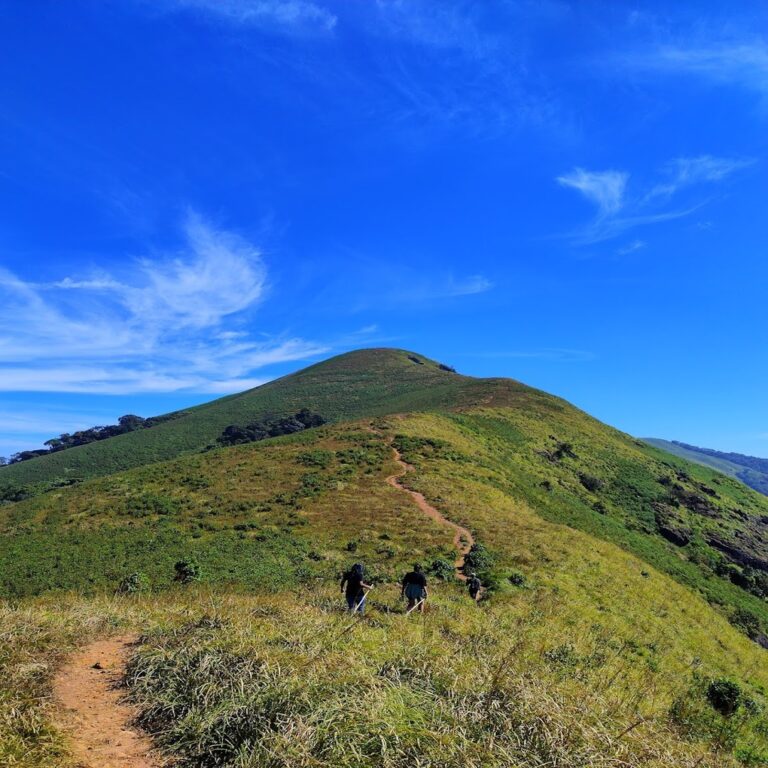 brahmagiri trekking wayanad