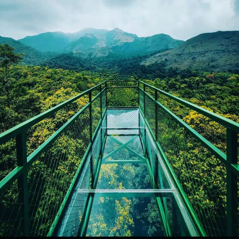 glass bridge 900 kandi wayanad