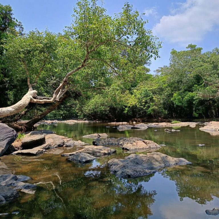 kuruvadweep near Pulpally in Wayanad