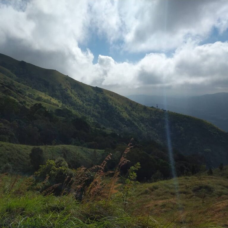 pakshipathalam