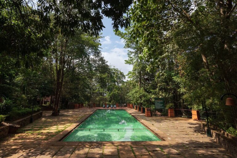 pool at Vythiri resort