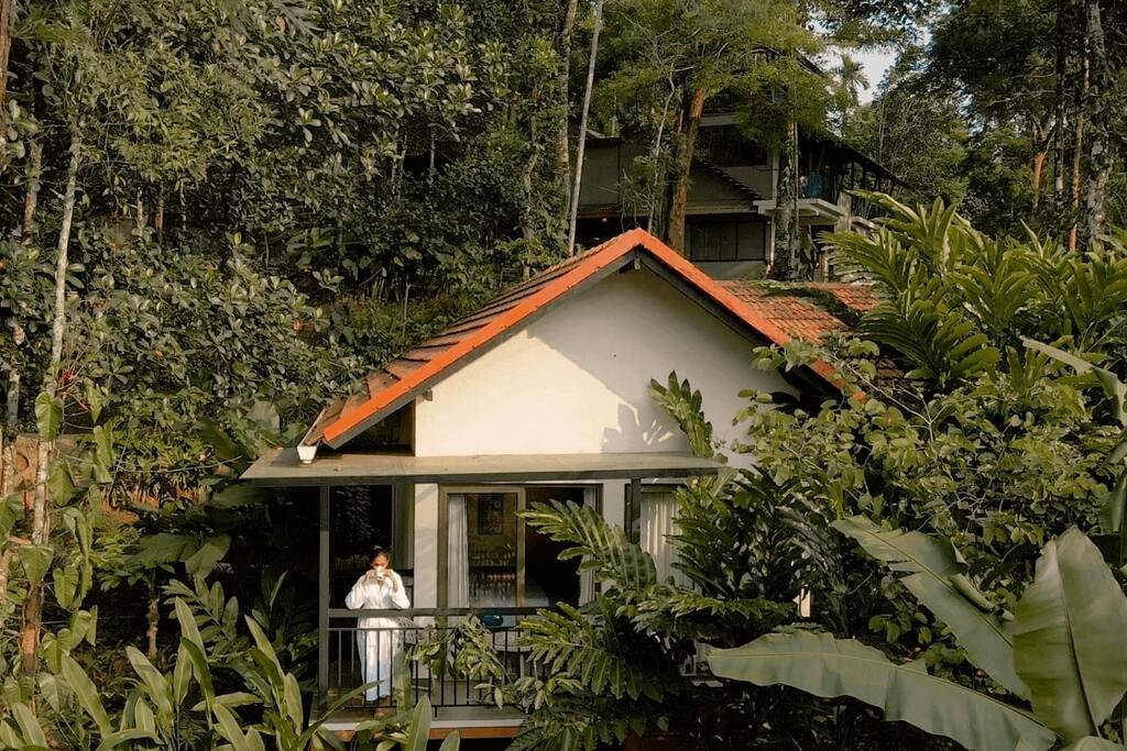 Plantation walk at Willow Resorts Wayanad