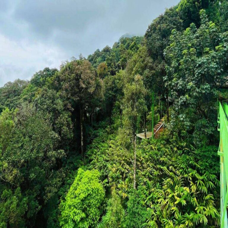thollayiram kandi wayanad