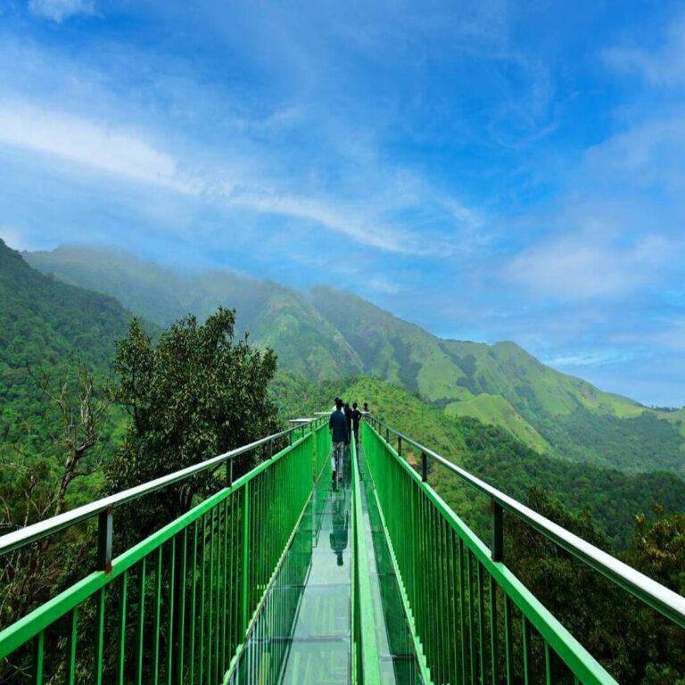 wayanad glass bridge