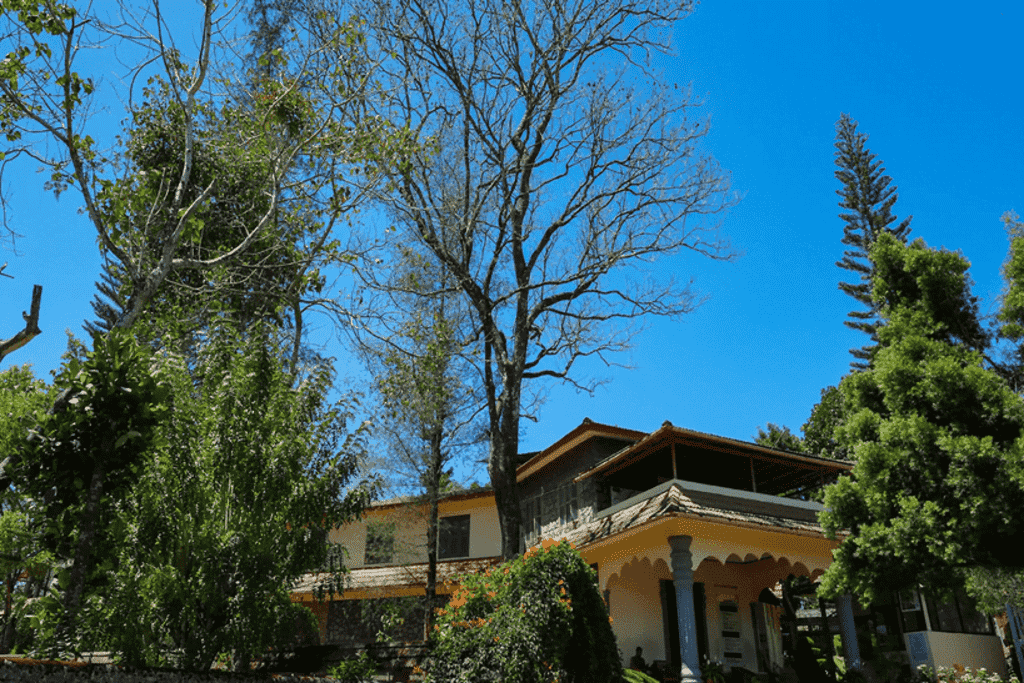 Wayanad Heritage Museum near Willow Resorts
