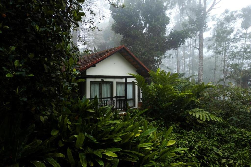 Peaceful plantation surroundings at Willow Resorts in Wayanad